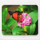 Suche nach schmetterlinge und motten mousepads Blume