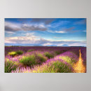 Suche nach provence poster Felder