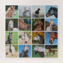 Suche nach lustiges pferd puzzle Rätsel