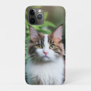 Suche nach ragdoll katze iphone hüllen Tier