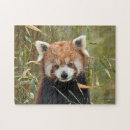 Suche nach panda trinkflaschen Natur