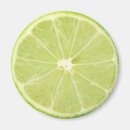 Suche nach limoner magnet magnete Frisch