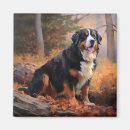 Suche nach berner magnete Hund