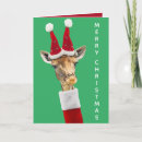 Suche nach weihnachtsgiraffe Tiere