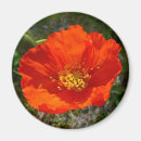 Suche nach poppy magnete Natur
