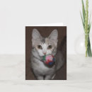 Suche nach muffin karten Katzen