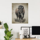 Suche nach weißer bison poster Natur