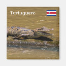 Suche nach krokodil magnete Wildtiere