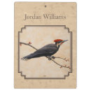 Suche nach vogelbeobachtung klemmbrett Vogelvogel