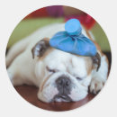 Suche nach sick aufkleber Hund