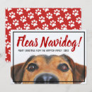 Suche nach feliz navidad karten Hund