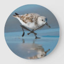 Suche nach albern wanduhren Vogel