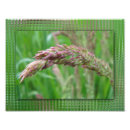 Suche nach tau poster Blüte