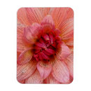 Suche nach kanten magnete Rosa