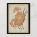 Suche nach krebs postkarten Konstellation