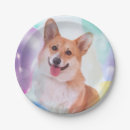 Suche nach corgi party teller Feier