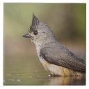 Suche nach hinterhof fliesen Natur