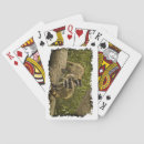Suche nach waschbär spielkarten Natur