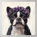 Suche nach boston terrier poster Niedlich