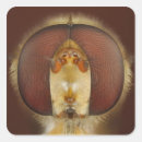 Suche nach farbiger hintergrund aufkleber Tier