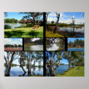 Suche nach murren poster Australie