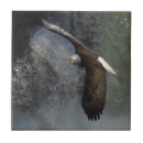 Suche nach wasserfälle fliesen Fallen