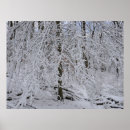 Suche nach schneesturm poster Wald