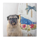 Suche nach mops fliesen Haustier