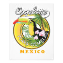 Suche nach mexican flag poster Mexiko