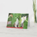 Suche nach türkischer geburtstag karten Katze