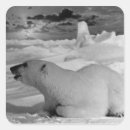 Suche nach alaska aufkleber Amerikanisch