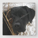 Suche nach labor wanduhren Labrador retriever