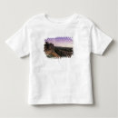 Suche nach languedoc tshirts Schloss