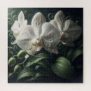 Suche nach weiße orchideen puzzle Botanisch