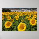 Suche nach cadiz poster Andalusien