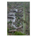 Suche nach phoenix poster Nationalpark