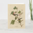 Suche nach breasted karten Bird