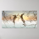 Suche nach wilde hasen poster Landschaft