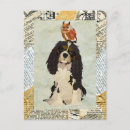 Suche nach cavalier king postkarten Hund