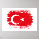 Suche nach türkische flagge poster Land