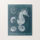 Suche nach seeleben puzzle Seepferd