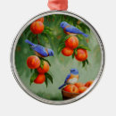 Suche nach singvögel ornamente Natur