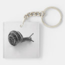 Suche nach schnecke schlüsselanhänger Tier