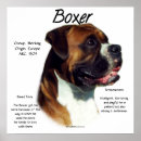 Suche nach alle ohren poster Hund