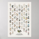 Suche nach schmetterling poster Wildtiere