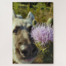 Suche nach drehen puzzle Lustig
