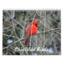 Suche nach birds kalender Adler