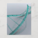 Suche nach dna postkarten Forschung
