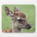 Suche nach japaner mousepads Tier