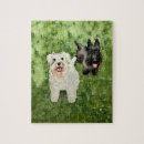 Suche nach schnauzer puzzle Liebe
